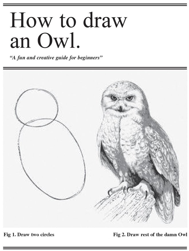 Owl